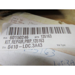135163 Pump Repair Kit