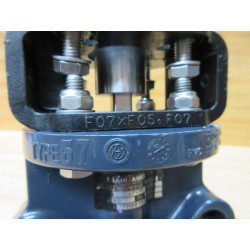 AsahiAmerica 07H89167G 2" Butterfly Valve TYPE-57 WF07XF05.F07 - Used
