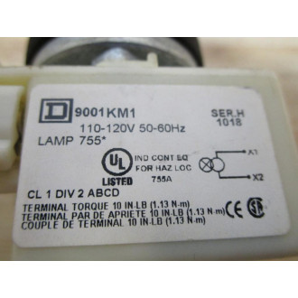 Square D 9001-KR9P1RH13 Pushbutton