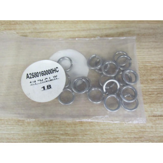 A2580160000HC Lock Washer (Pack of 18)