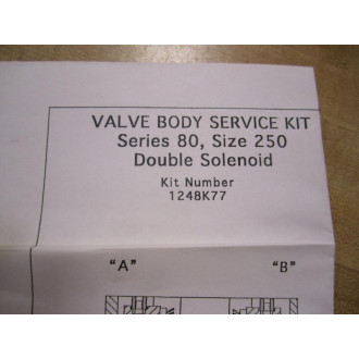 Ross 1248K77 Valve Service Kit Sz 250 52