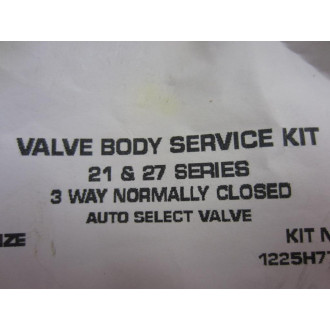 Ross 1225H77 Valve Service Kit 1-14"