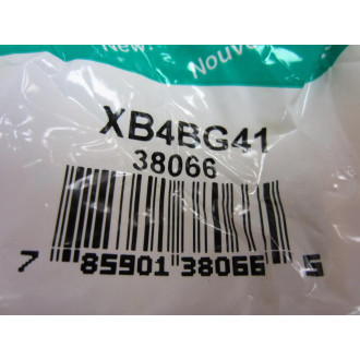 Telemecanique XB4-BG41 Selector Switch With Keys XB4BG41 38066