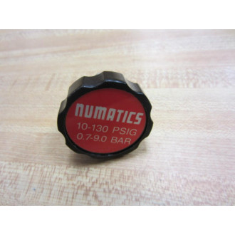 Numatics 134RS100J Regulator Unit