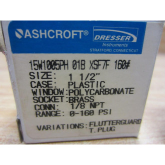 Ashcroft 15W1005PH 01B XSF7F 160 Gauge 160 PSI 18" Rear 15W1005PH01BXSF7F160