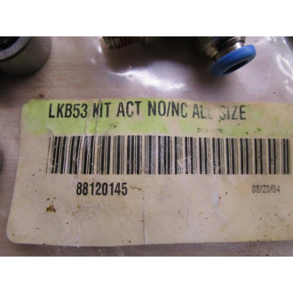 INA LKB53 Kit 88120145