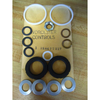 Worcester Controls RK44PTR17 Valve Repair Kit 1"