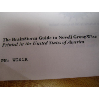 Brainstorm WG41R The Brain Storm Guide to Novell Group Wise - Used