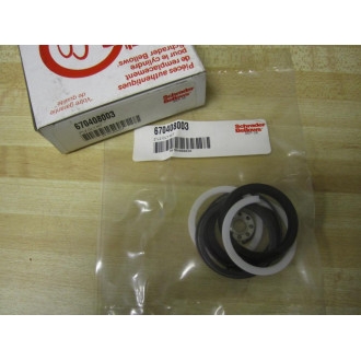 Schrader Bellows 670408003 L2 Cylinder Kit Parker