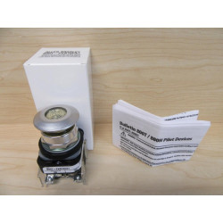 Allen Bradley 800T-FRX10CA1 Button 2-Position