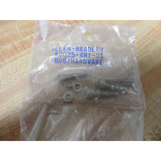 Allen Bradley 40025-481-01 808Hardware 4002548101