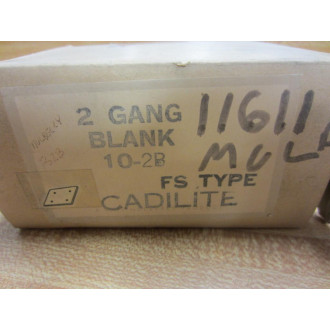 Mulberry 10-2B 102B 2-Gang Blank FS Cover 11611 (Pack of 10)