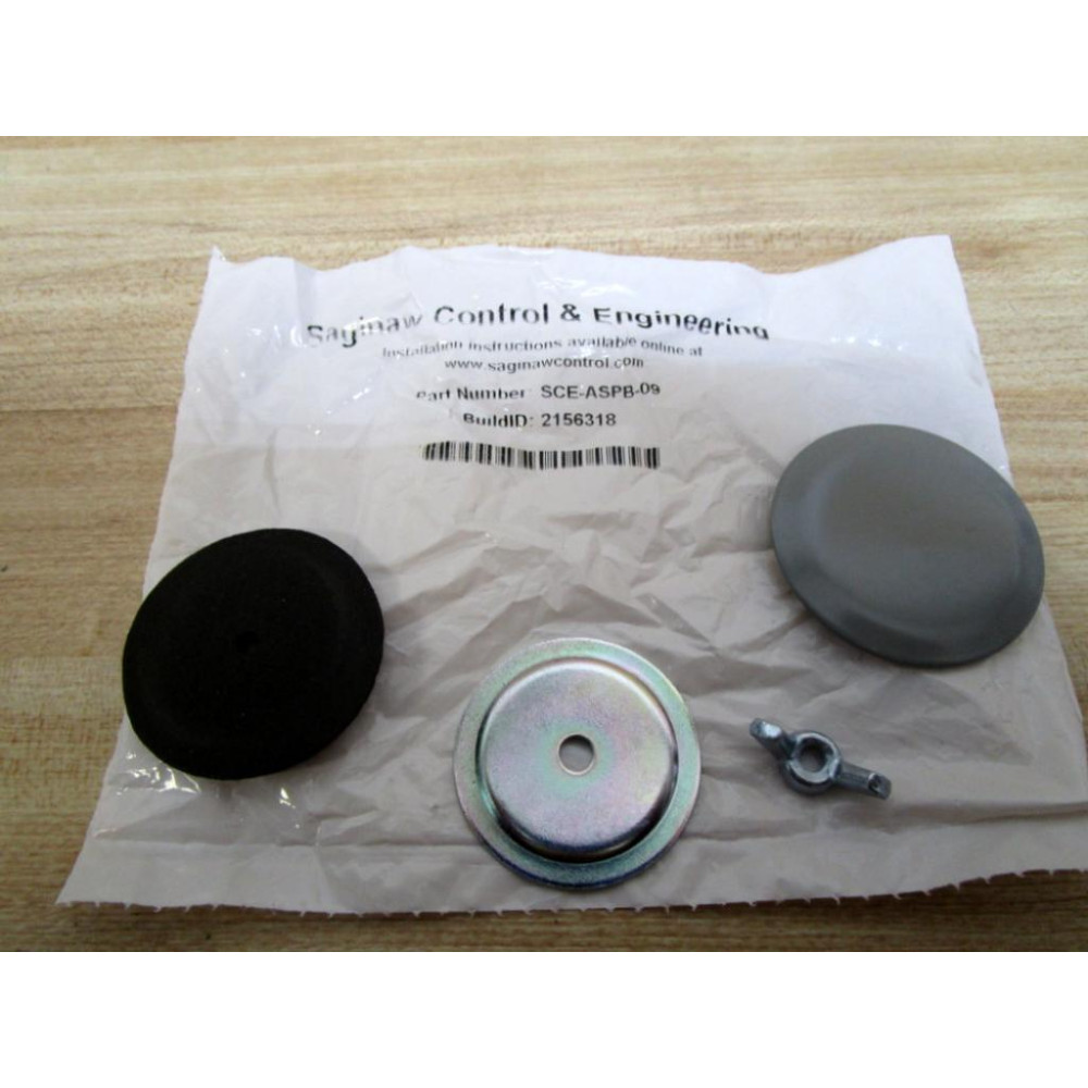 Saginaw Control & Engineering SCE-ASPB-09 Hole Seal Plug SCEASPB09 (Pack of 2)