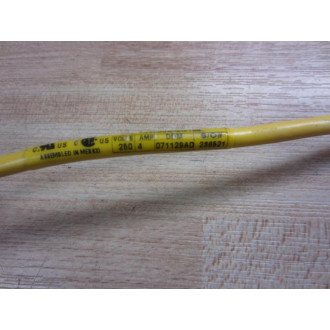 Brad Connectivity 804000A09M100 Micro-Change Cable