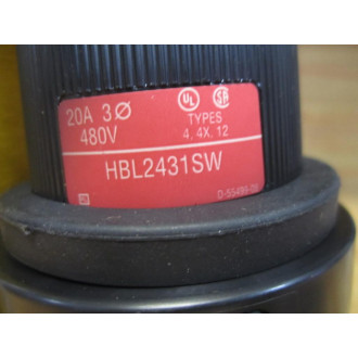 Hubbell HBL2431SW Twist-Lock Watertight Plug