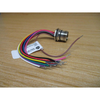 Allen Bradley 888M-M12AE-0F5 M23 Receptacle 888MM12AE0F5