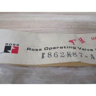 Ross 862K87A Indicator Light Kit 125 VAC -12W