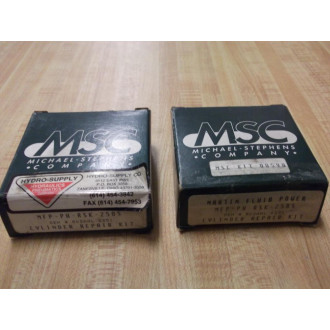 MSC MFP-PH-RSK-250S Cylinder Repair Kit Set of 2