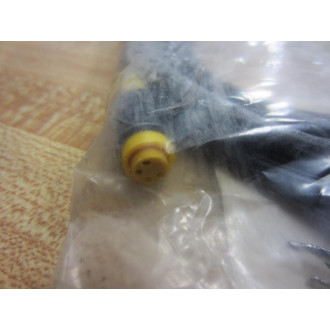 Turck PKG 4Z-2S90 Cordset E2521