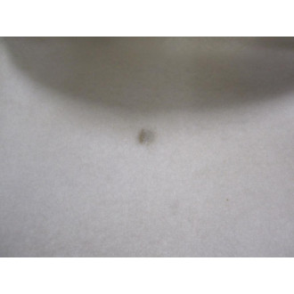 Strainrite AP200P2SHS Filter Bags WStains (Pack of 3) - New No Box