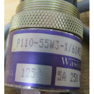 Wasco P110-55W3-X6145 Pressure Transmitter P11055W3X6145 - New No Box