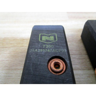 National Carbon T30036A291747ACP03 Carbon Brush (Pack of 2) - New No Box