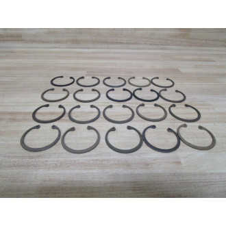 Wilden Pump & Engineering 3-9794756 Snap Ring (Pack of 20) - New No Box
