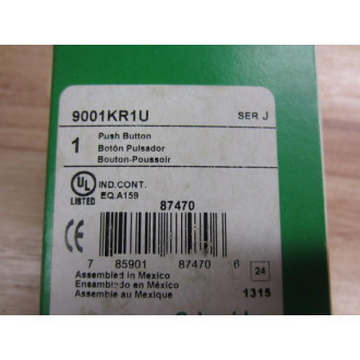 Schneider 9001KR1U Push Button