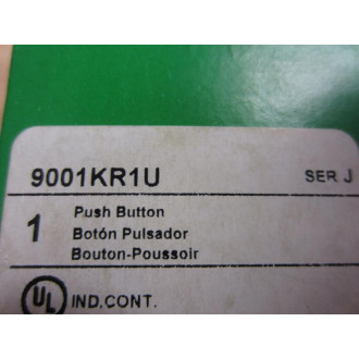Schneider 9001KR1U Push Button