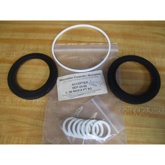 Worcester Controls 1-30-RK818-PT-R3 Valve Repair Kit 130RK818PTR3