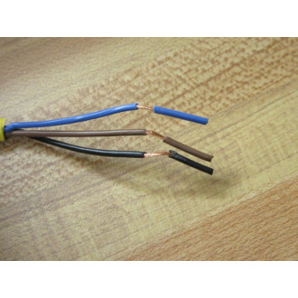 Warner Bernstein Sentec 650-2999-004 Sensor KIB-D04PS0.8-KL2