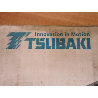 Tsubaki RS 60 RIV Roller Chain RS60RIV Roller Chain 10'