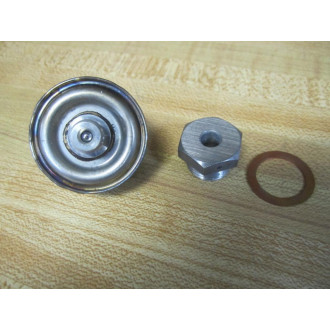 Nicholson N200-300 Steam Trap Repair Kit N200300