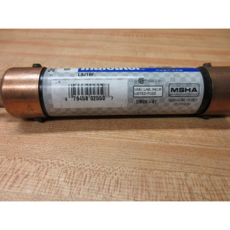 Littelfuse FLSR 100 ID Fuse FLSR100ID (Pack of 2) - New No Box