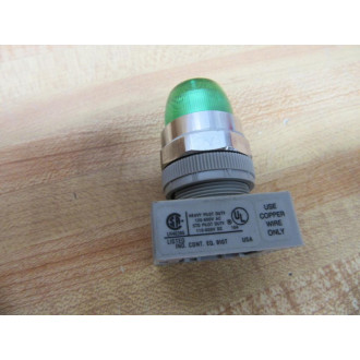 IDEC ALW29911-G-24V Illuminated Push Button ALW29911G24V - New No Box