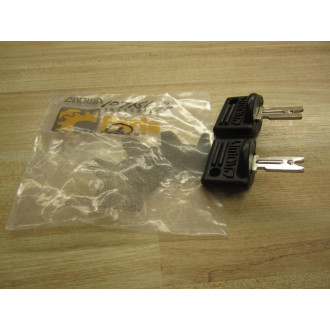 Crown 107151-2 Forklift Key (Pack of 2)
