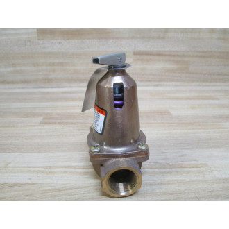 Bell & Gossett 110121 ASME Relief  Valve 34" 790-30