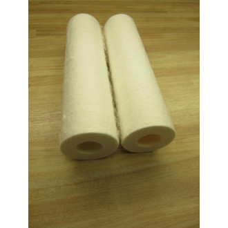 Watts FC-S20 Water Filter Replacement Cartridge (Pack of 2)