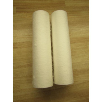 Watts FC-S20 Water Filter Replacement Cartridge (Pack of 2)