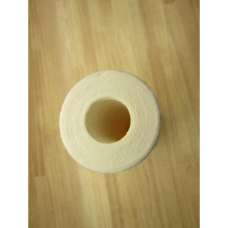 Watts FC-S20 Water Filter Replacement Cartridge (Pack of 2)