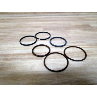 Hanna F-200 Piston Packing Kit 706-00047-026