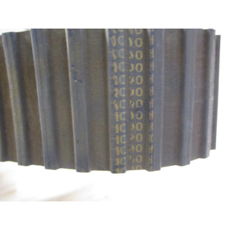 1000H Belt