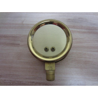 Ametek 48750 Gauge