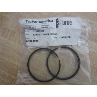 TruPar America HY1379063 Piston Ring (Pack of 2)