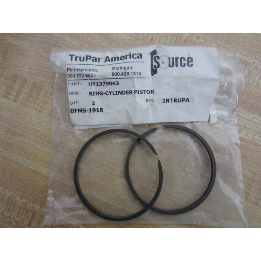 TruPar America HY1379063 Piston Ring (Pack of 2)