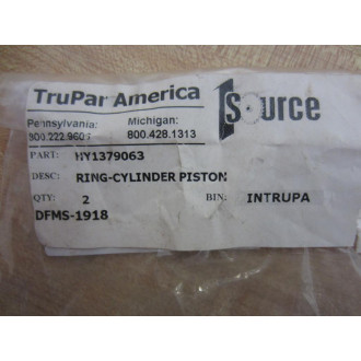 TruPar America HY1379063 Piston Ring (Pack of 2)