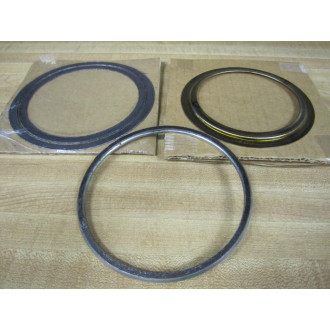 DeZurik 1223718 4"Seat Repair Kit VPB 317 SST