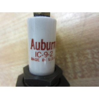 Auburn IC-9-2 Flame Rod Ignition IC92