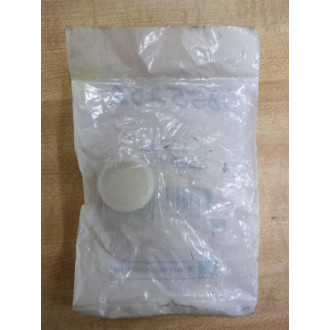Telemecanique ZB2BV021 Pilot Light White Lens