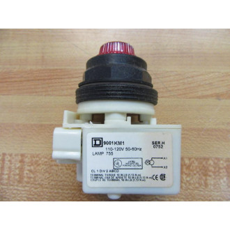 Square D 9001-SKP1R31 Pilot Light W9001KM1